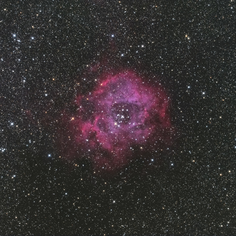NGC2244(バラ星雲)