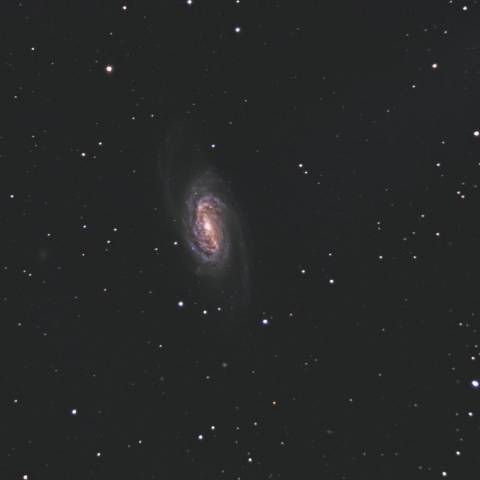 NGC2903