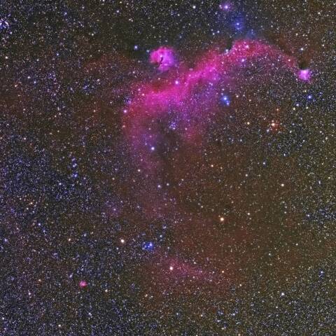 IC2177(カモメ星雲)