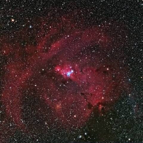 NGC2264(クリスマスツリー星雲)