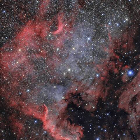 NGC7000（北アメリカ星雲）