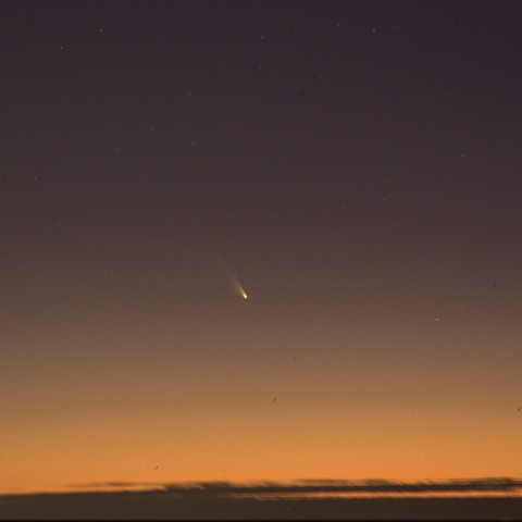 パンスターズ彗星