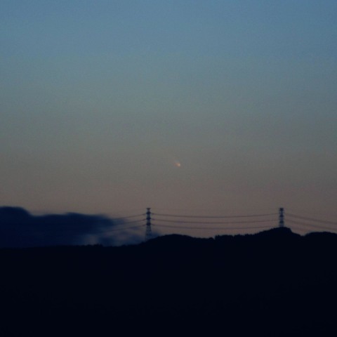 パンスターズ彗星