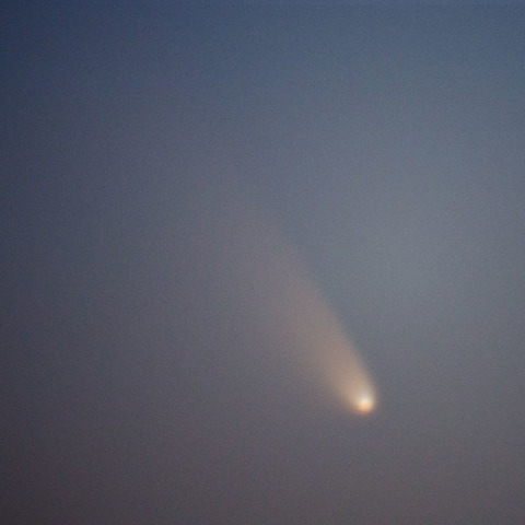 パンスターズ彗星(アップ)