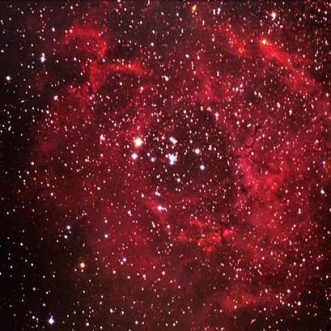 二鹿の夜空に咲くバラ