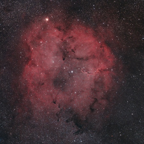 IC1396