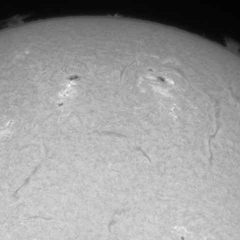 2014年11月30日太陽Hα画像