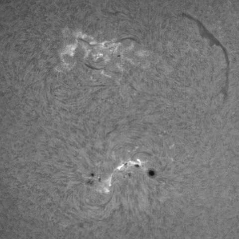 活動領域12472、12473