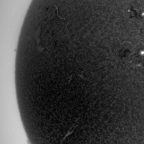 1月11日の太陽Hαモザイク合成画像