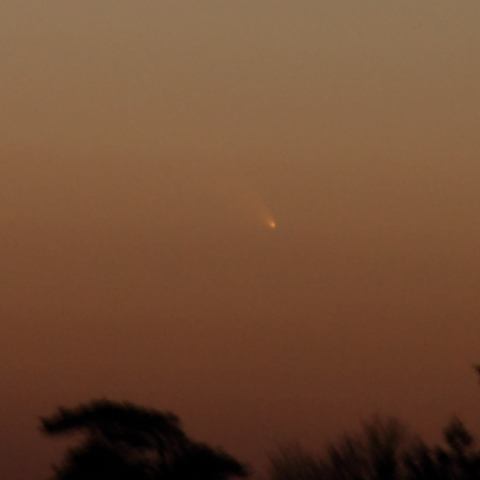 パンスターズ彗星