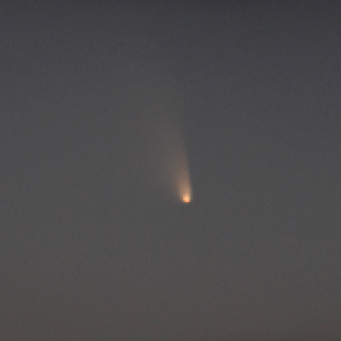 パンスターズ彗星