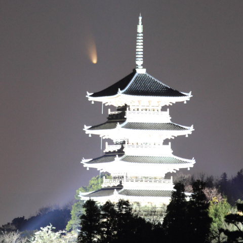 備中国分寺ライトアップとの競演