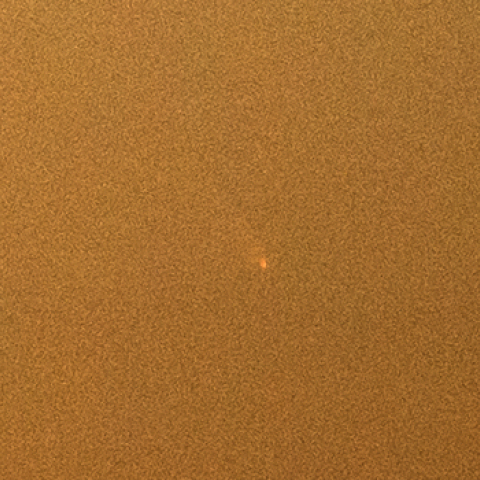 東京でも見えました！PANSTARRS C/2011 L4(100%切り出し)