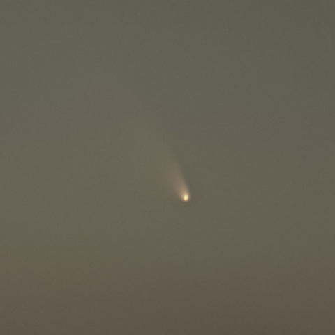 PANSTARRS C/2011 L4(100%切り出し)