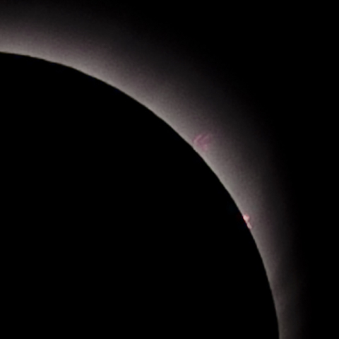 皆既日食 in 杭州 Prominence