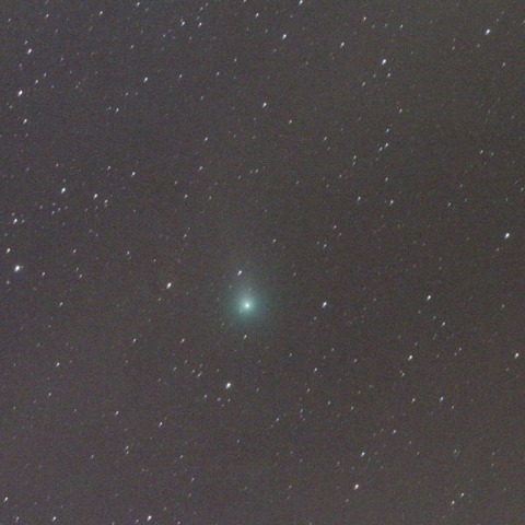 11/9　ラブジョイ彗星　