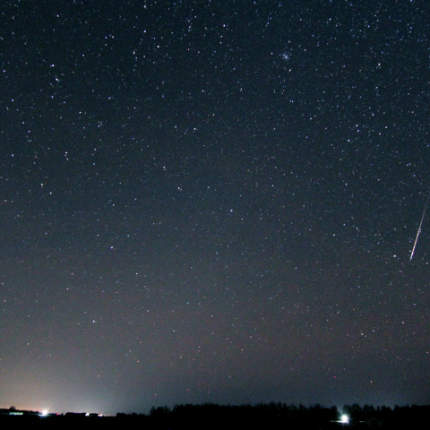オリオン座流星群-c1 (23-11-16)