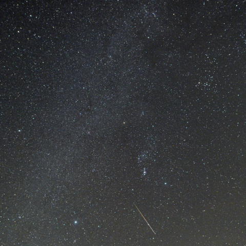 うさぎ座をかすめる流星 (23-11-16)