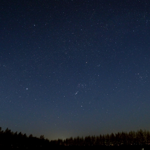 西空の冬の星座
