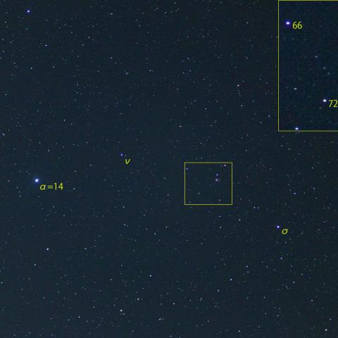 しし座R (24-03-10)