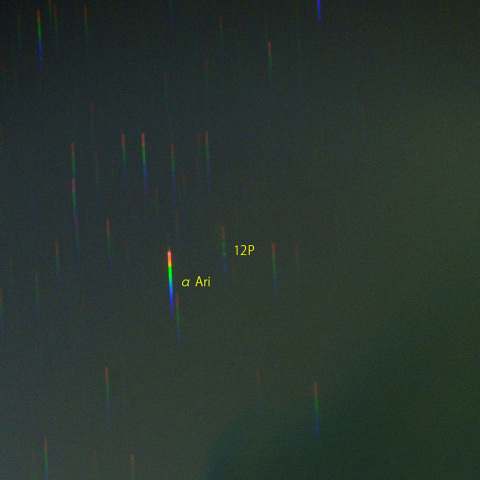 ポン・ブルックス彗星スペクトル (24-03-30)