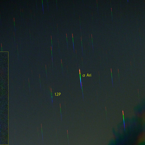 ポン・ブルックス彗星スペクトル (24-04-02)