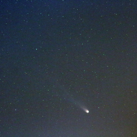 ポン・ブルックス彗星-c1 (24-04-06)