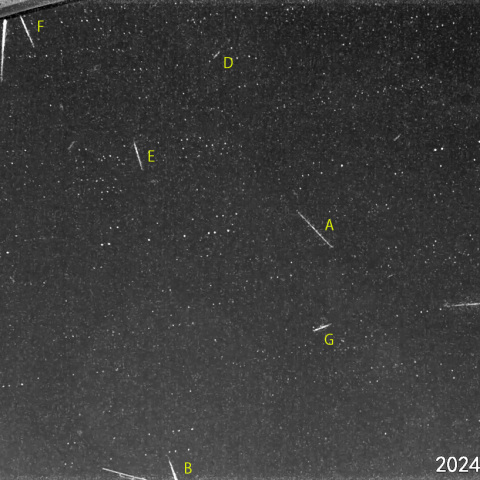 明け方の流星 (24-05-19)