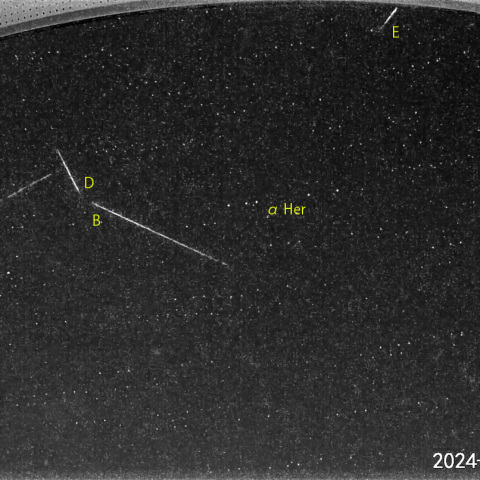 宵の流星 (24-06-11)