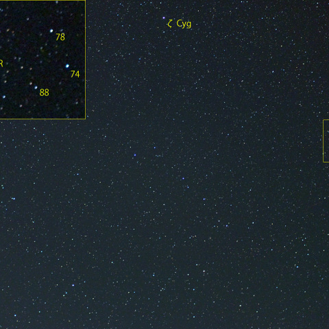 こぎつね座R (24-06-28)