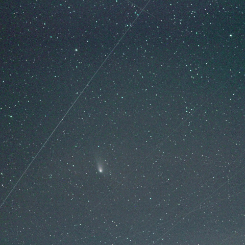 オルバース彗星-c (24-07-02)