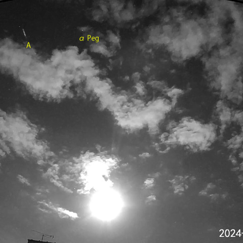 宵空の流星 (24-08-20)