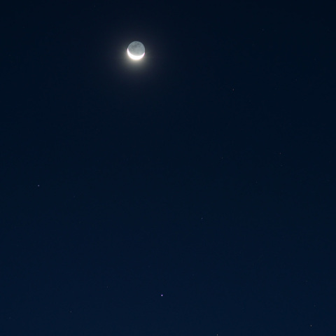 月とレグルス (24-09-29)