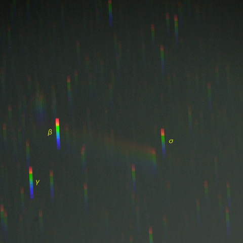 紫金山・アトラス彗星のスペクトル (24-10-26)