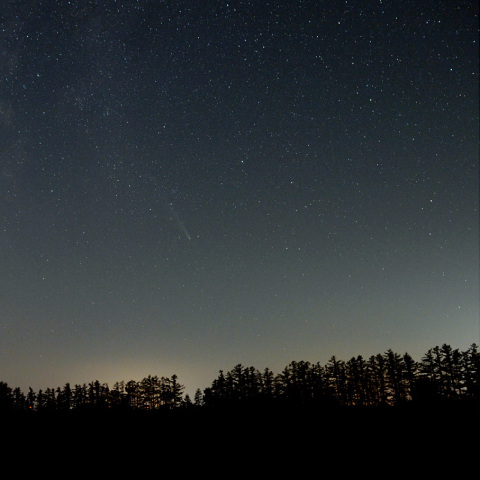 紫金山・アトラス彗星-1 (24-10-26)