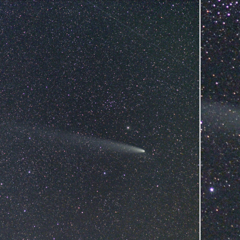 紫金山・アトラス彗星-2 (24-10-28)