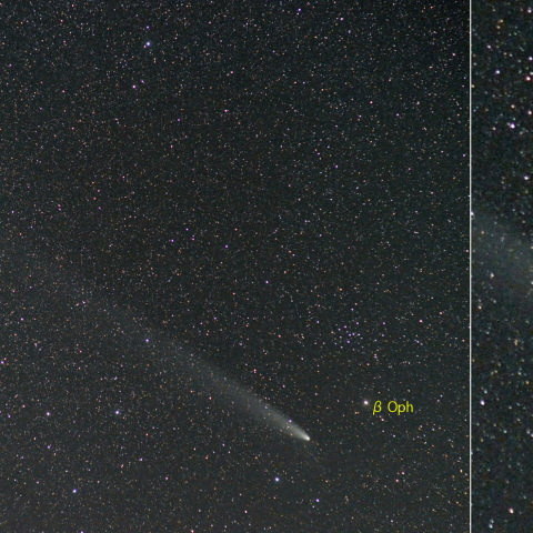 紫金山・アトラス彗星-2 (24-10-29)