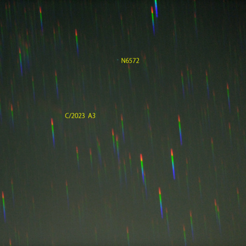 紫金山・アトラス彗星のスペクトル (24-11-06)