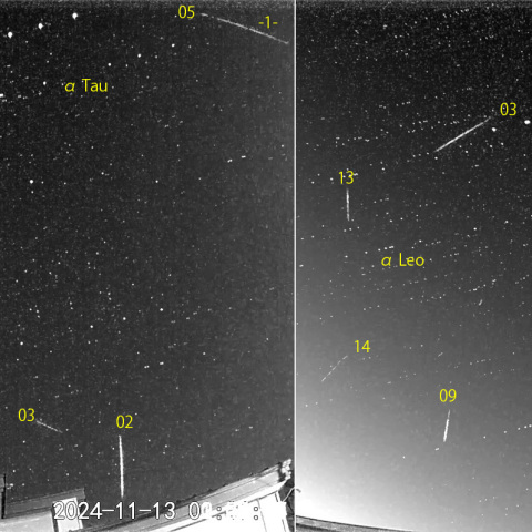 夜半後の流星 (24-11-13)