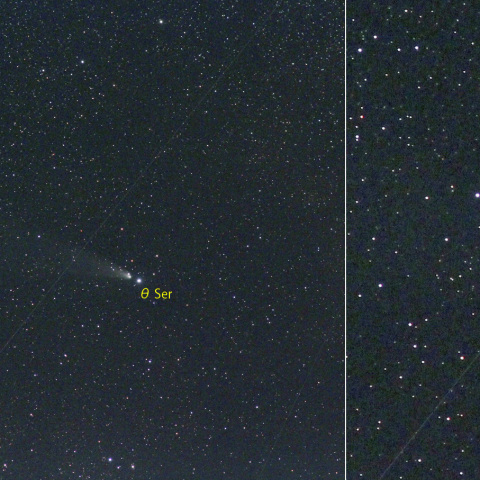 紫金山・アトラス彗星 (24-11-23)