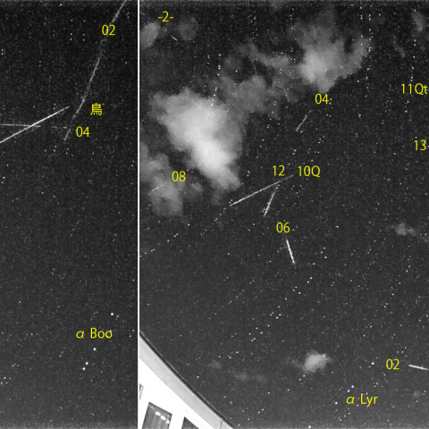 夜半後の流星 (25-01-05)