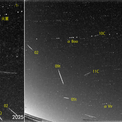 夜半後の流星 (25-01-08)