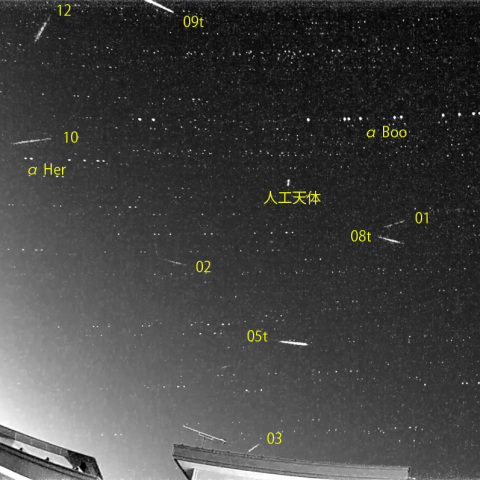 夜半後の流星 (25-01-28)