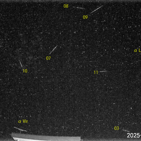 夜半後の流星-1 (25-01-31)