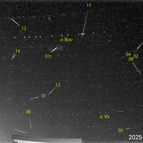 夜半後の流星-2 (25-01-31)