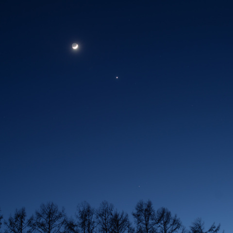 月と金星・土星 (25-02-02)