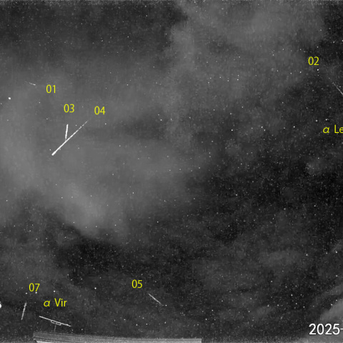 夜半後の流星 (25-02-01)