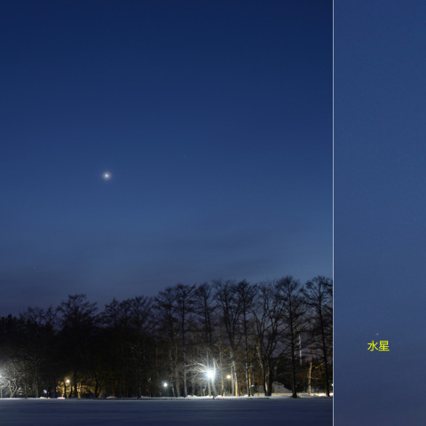 金星と東方最大離角の水星 (25-03-08)