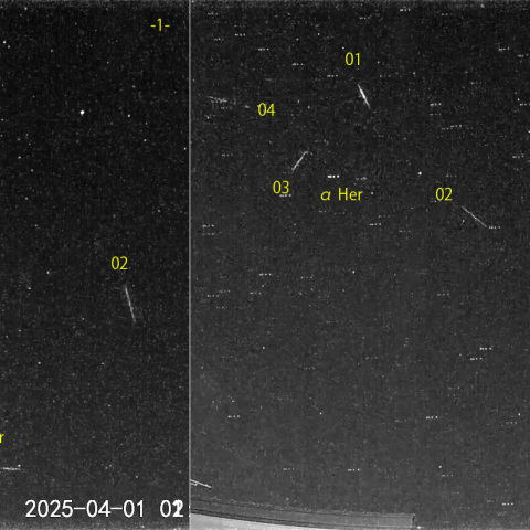 夜半後の流星 (25-04-01)