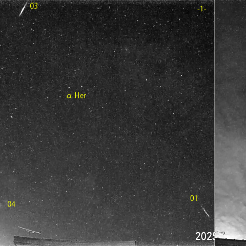 夜半後の流星 (25-05-19)